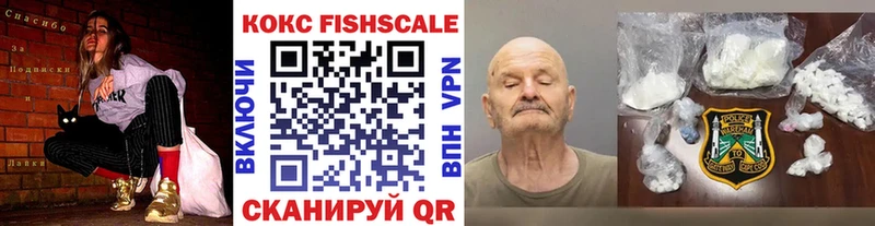 Cocaine FishScale  Будённовск 