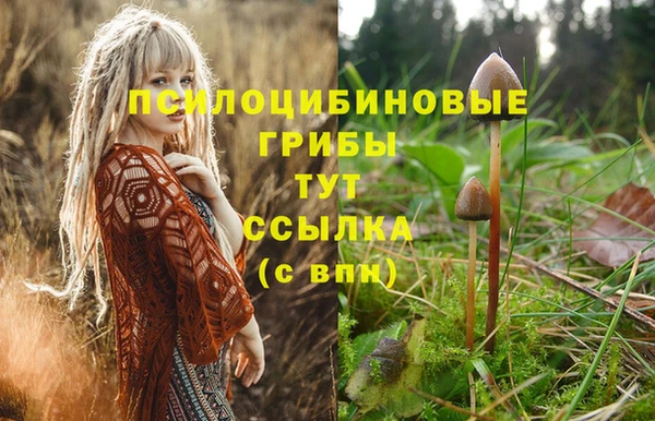 mix Аркадак