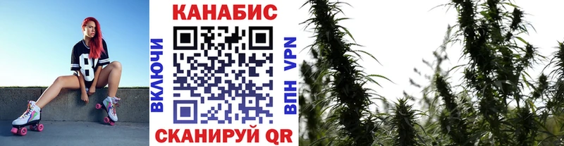 МАРИХУАНА SATIVA & INDICA  Будённовск 